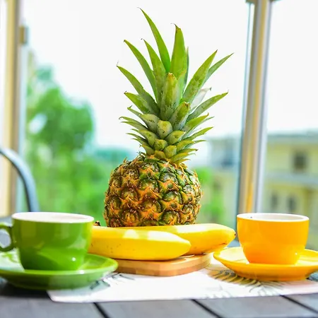 Charming Sunny Apartment+swimming Pool *