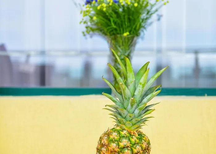 Charming Sunny Apartment+swimming Pool 公寓 *